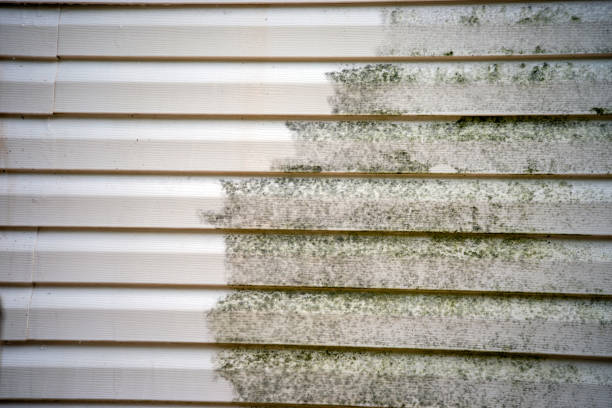 Best Mattress Disposal  in North Caldwell, NJ
